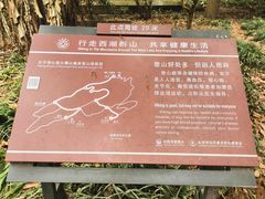 -九曜山