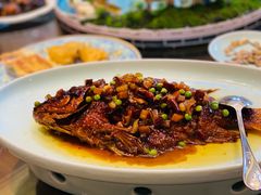 -湖畔鲁菜·二十年老字号餐厅(大明湖店)