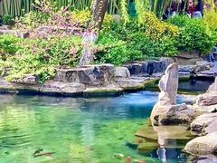 -老板恋上鱼(恒隆广场店)