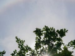 -成都南湖公园