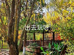 -习家池