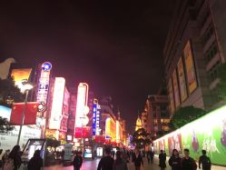 -Park Salon脏辫羽毛接发