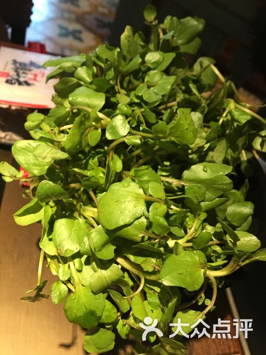 左庭右院潮汕鲜牛肉火锅(簋街店)西洋菜图片 - 第5张