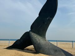 -烟台金沙滩海滨公园