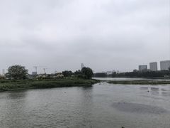 -澹台湖公园