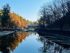 -白水寺森林公园