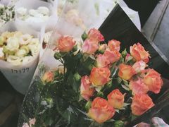 -秦美花卉(天朗·莱茵小城2期店)