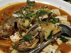 -瑞琳阿尔泰冷水鱼(康源财富中心店)