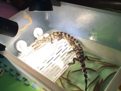 -广州保龄球馆(广州天河体育中心店)