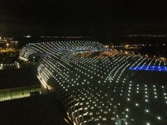 外景-深圳湾木棉花酒店
