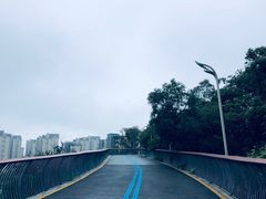 -飞凤山奥体公园