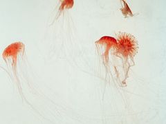 -沈阳海洋探索中心