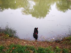 -长兴太湖图影湿地文化园