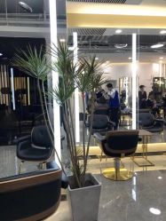 -AYO SALON