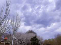 -长白岛森林公园