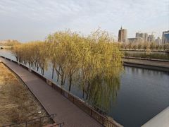 -西海子公园