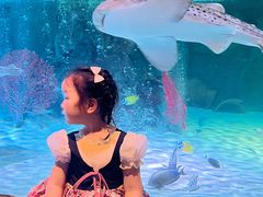 -沈阳海洋探索中心