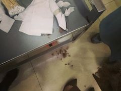 -小伙伴宠物医院•急重症转诊中心·老年专科·犬猫全科(北大街总院)