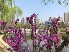 -木塔寺遗址生态公园