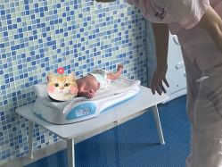 点击看大图 -大美母婴月子中心