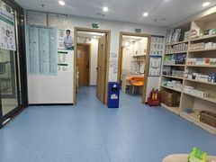 -博特宠物医院24h犬猫全科.骨科·异宠