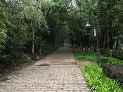 -云岗森林公园