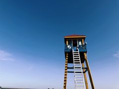 -碧海金沙