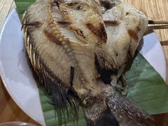 -杨合林啊兰烤鱼