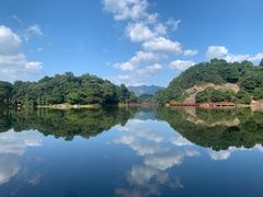 -广州市石门国家森林公园