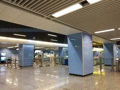 -大龙山(地铁站)