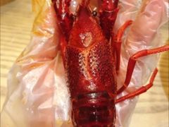 -松哥油焖大虾·外卖(西乡店)