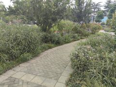 -成飞公园