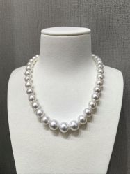 -GiO挚澳珠宝(侨福芳草地店)