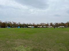 -上海海湾国家森林公园