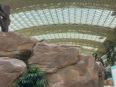 -杭州开元森泊度假乐园