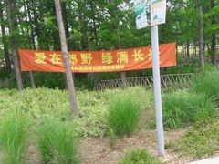 -上海长兴岛郊野公园