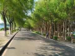 -丁香湖公园