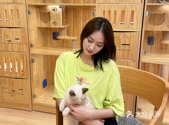 西安超大猫咖别墅｜撸猫的快乐天堂