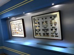 -上海昆虫博物馆