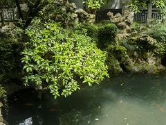 -惠山古镇·寄畅园