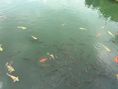 -宜兴龙背山森林公园