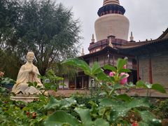 -张掖大佛寺景区