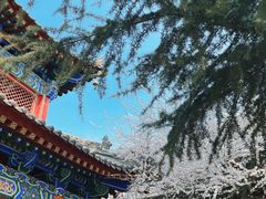 -西安市广仁寺