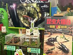 -正佳雨林生态植物园