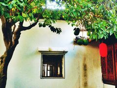 院中柚子-绍兴书圣故里景区