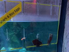 -沈阳海洋探索中心