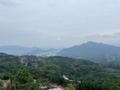 -玉苍山国家森林公园
