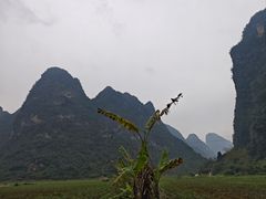 -明仕田园