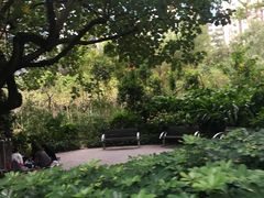 -九龙公园