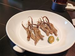 -秀儿四九城·新京菜(亚运村鸟巢店)